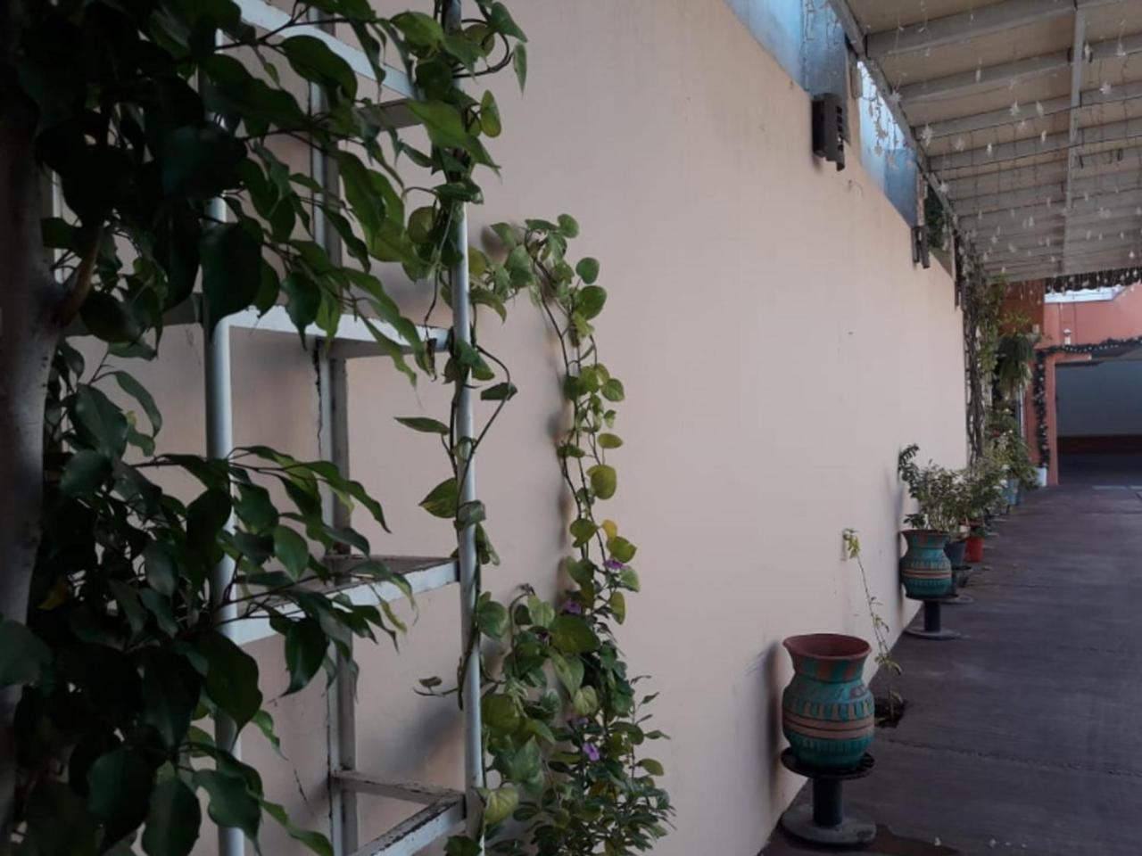 Tercera Avenida Hotel Tuxtla Gutiérrez Zewnętrze zdjęcie